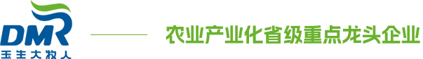 ftlogo